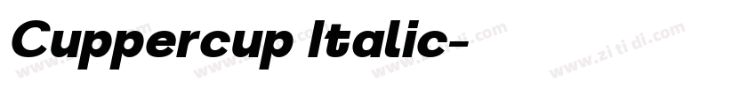 Cuppercup Italic字体转换